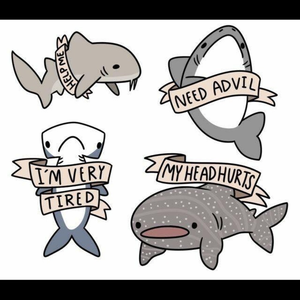 Meet your Posher, Hayley